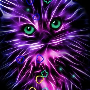 Meet your Posher, Carol